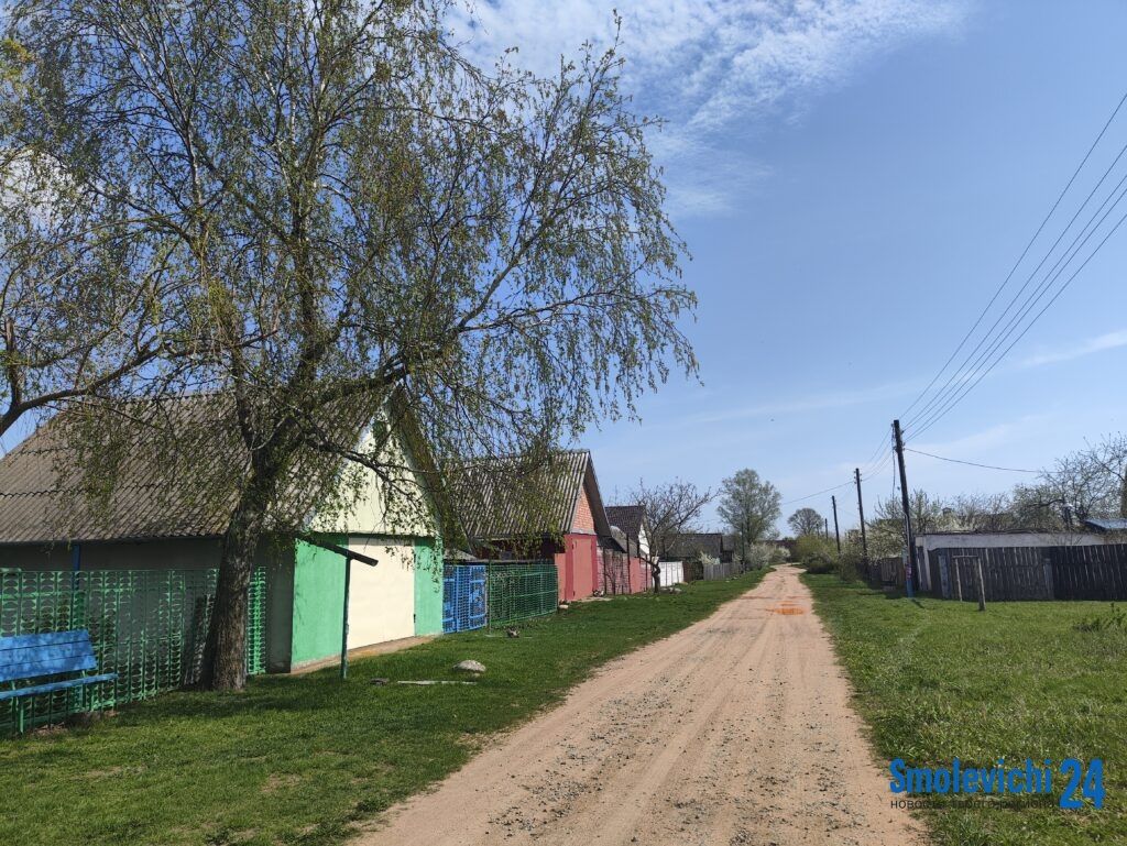 Под Смолевичами продают участки под строительство дома: один можно купить за 9000 рублей