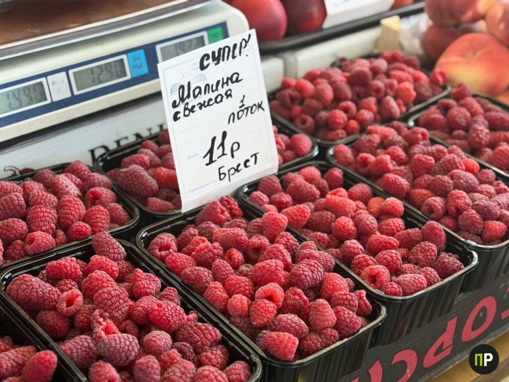 малина
