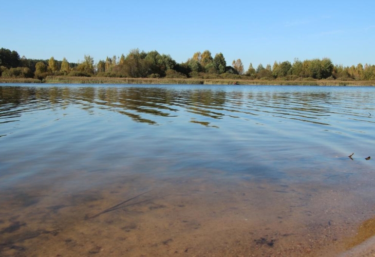 На Петровичском водохранилище утонул пенсионер