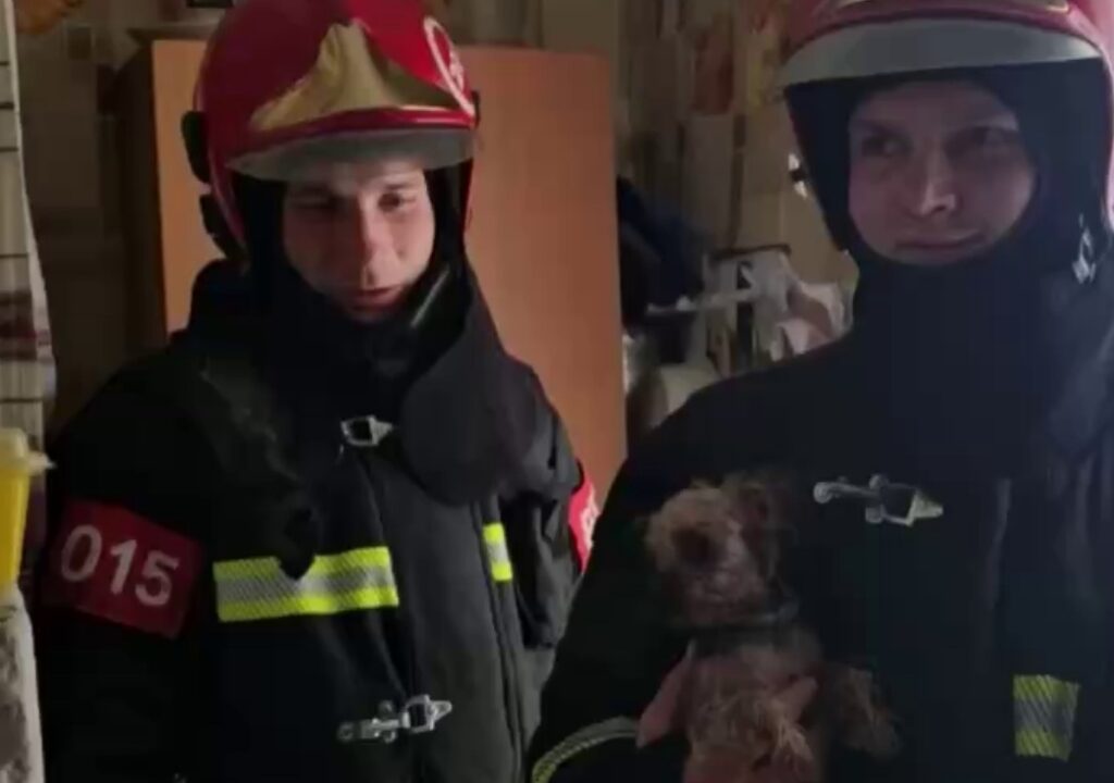 Лапа застряла в сливе раковины: в Старых Дорогах спасатели помогли собаке