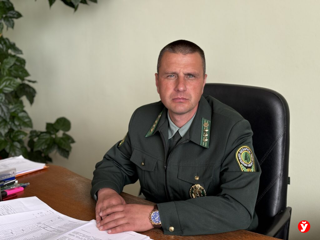 директор