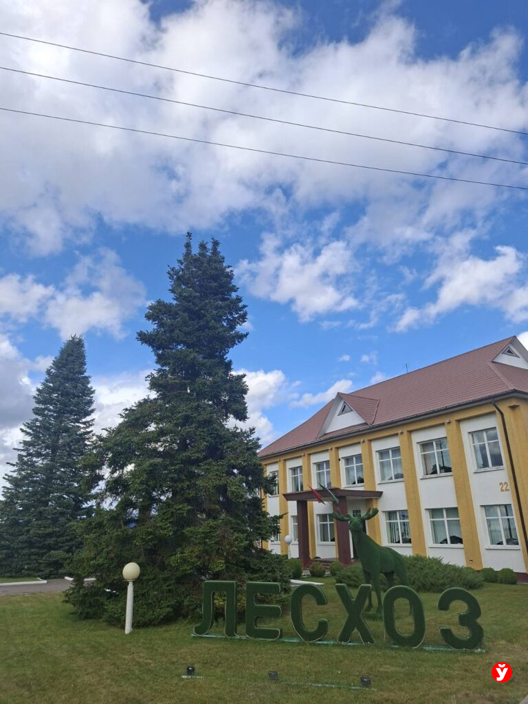 лесхоз вертикальный
