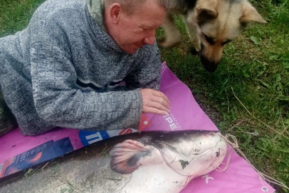 сом