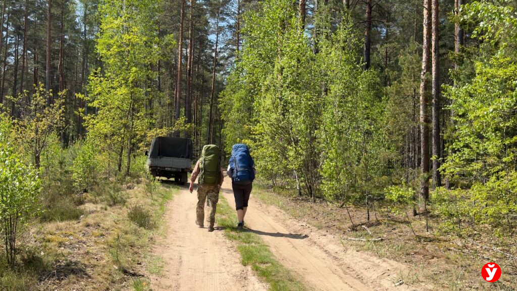 Пропавшую два месяца назад пенсионерку из Крупок нашли погибшей в лесу