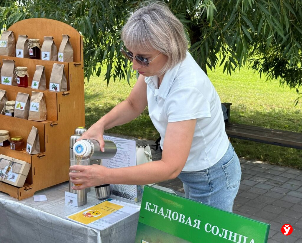 выставка