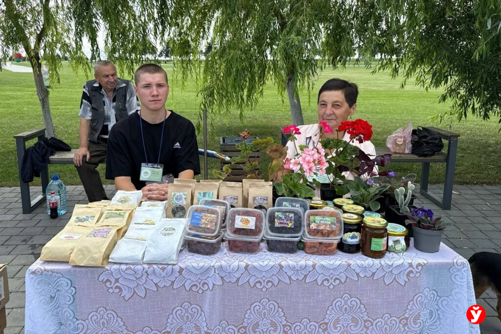 выставка