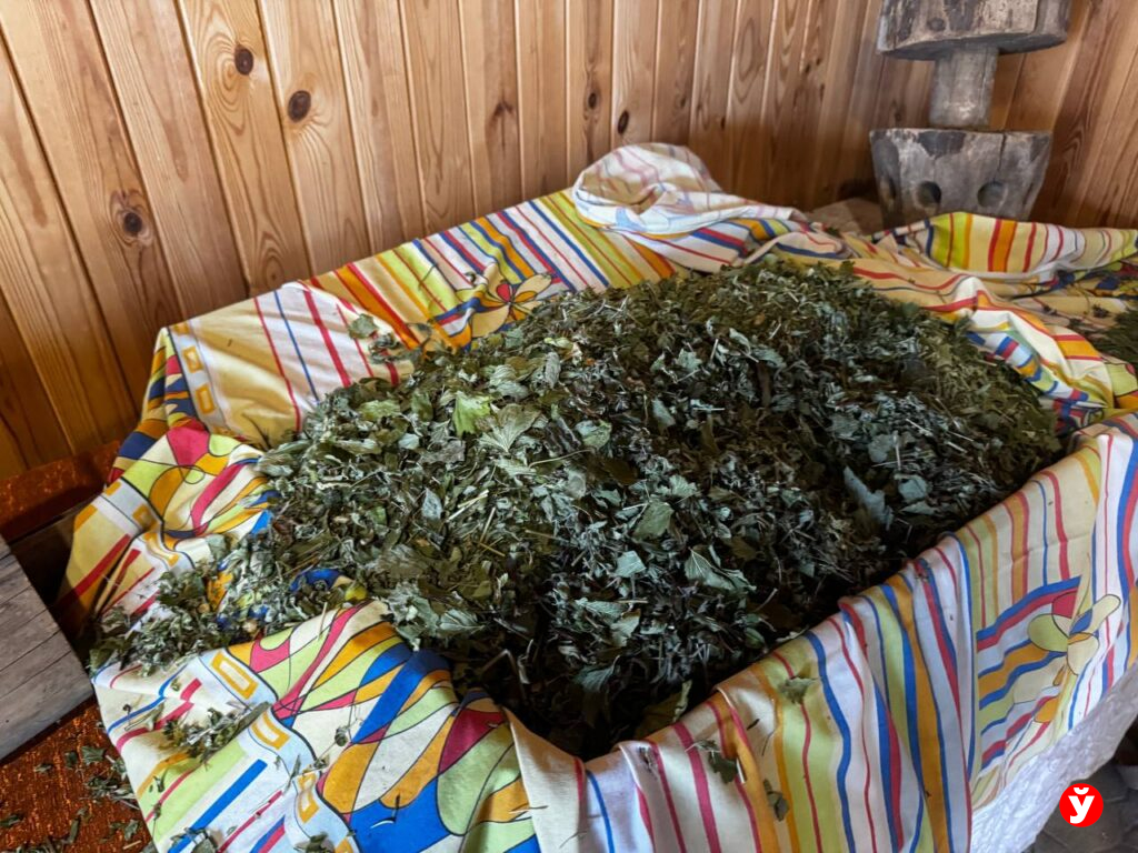 Дары Велеса