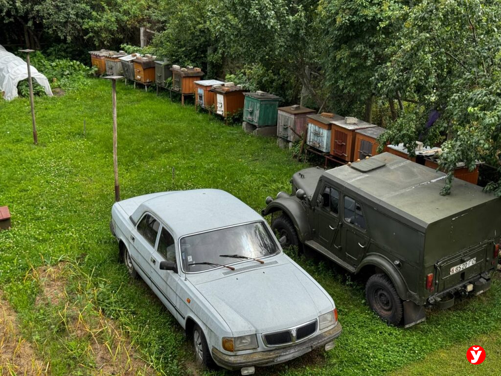 Березино, мастер по починке баянов