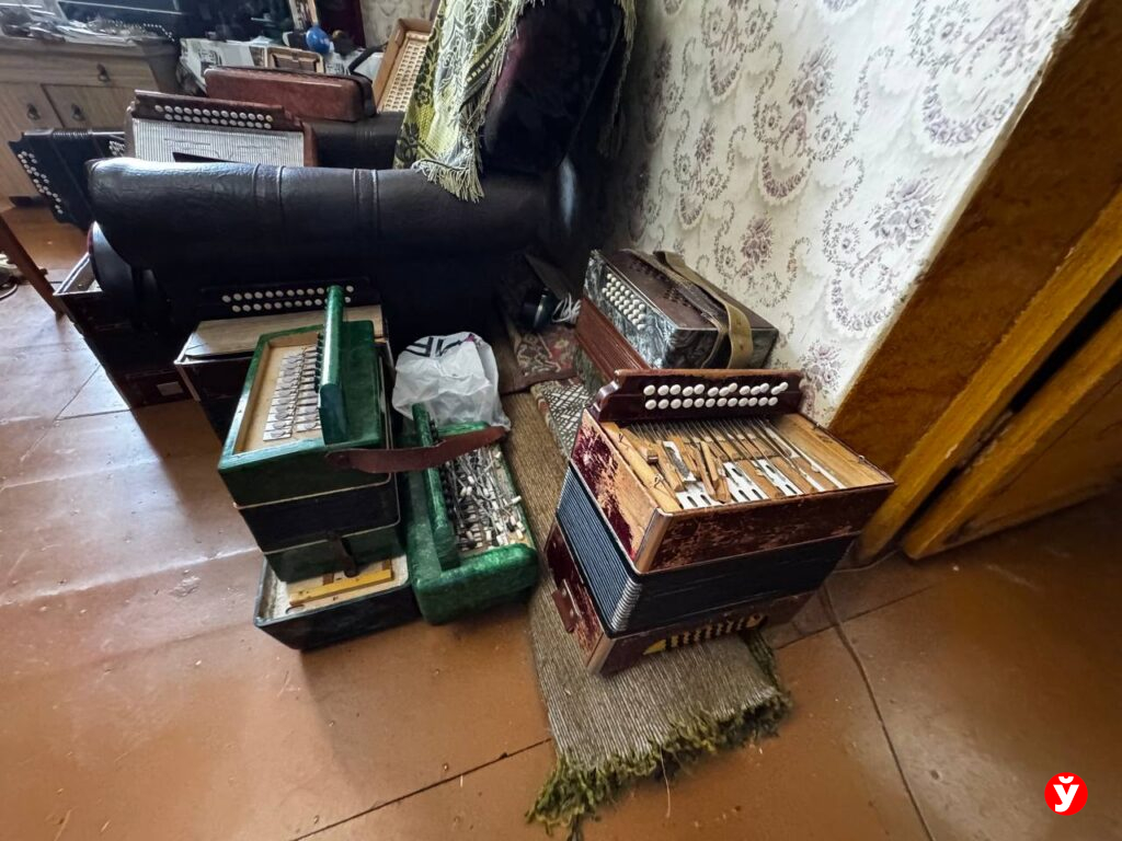 Березино, мастер по починке баянов