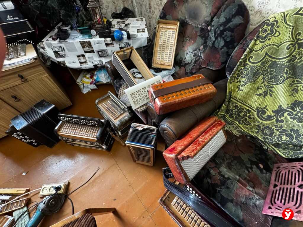Березино, мастер по починке баянов