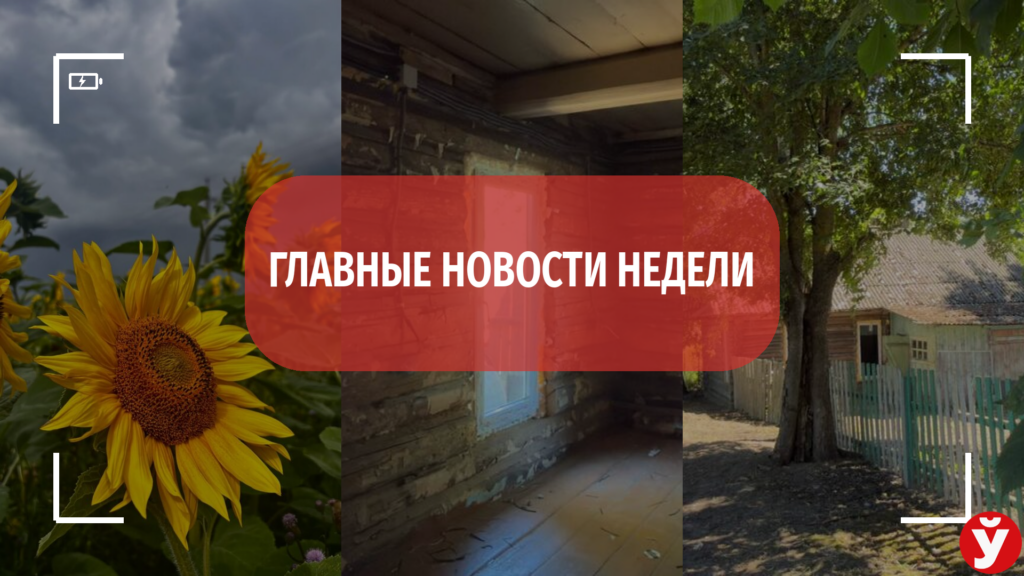 Дом за 45 рублей, сбой автобуса и поле подсолнухов стали главными новостями недели на Минщине