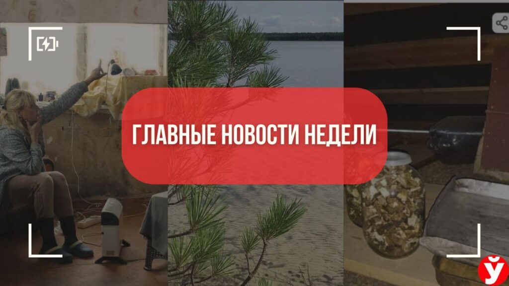 Топ-5 новостей Минщины за неделю: дом за 45 рублей, дорогие грибы и отдых на Нарочи