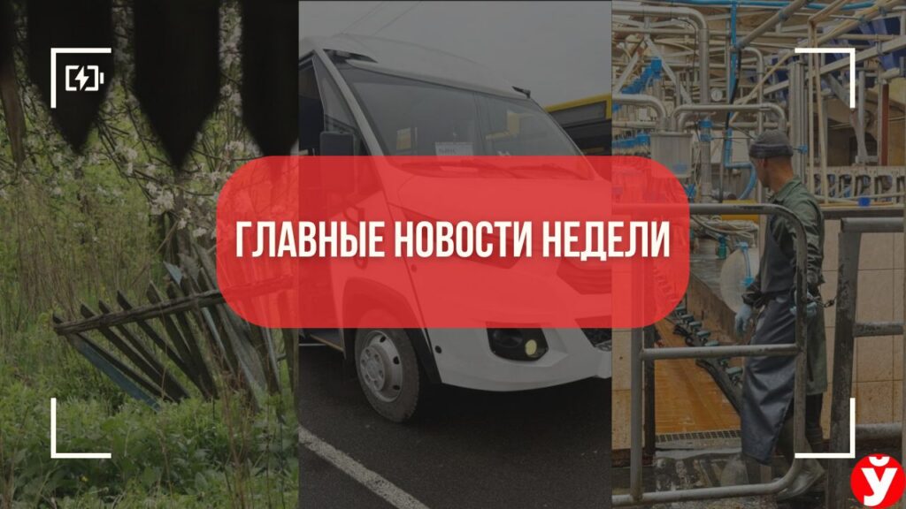 Топ-5 новостей Минщины за неделю: заброшки за 1600 рублей, история мигрантов и новая остановка