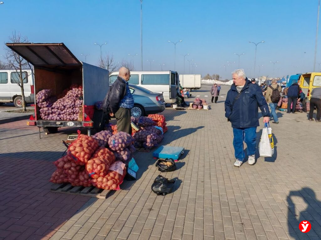 Сельхозярмарки возвращаются – где в Минске осенью можно будет купить овощи и продукты