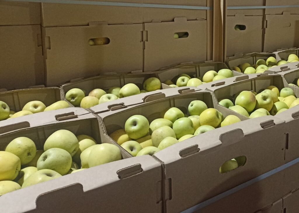 В Беларуси раскрыли масштабную схему при закупке сельхозпродукции