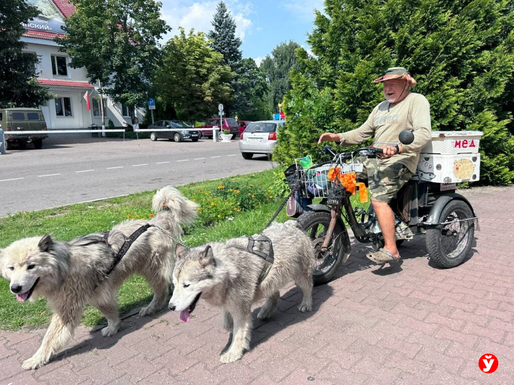 Пенсионер Адмирал в Нарочи развозит рыбу на поющих ездовых собаках