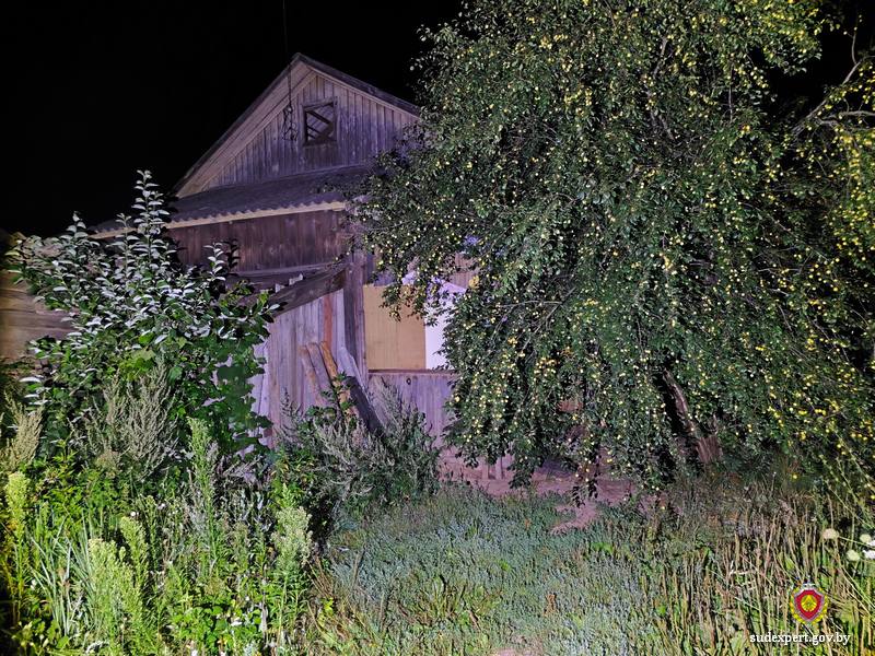 Троих человек нашли мертвыми в доме в Быхове