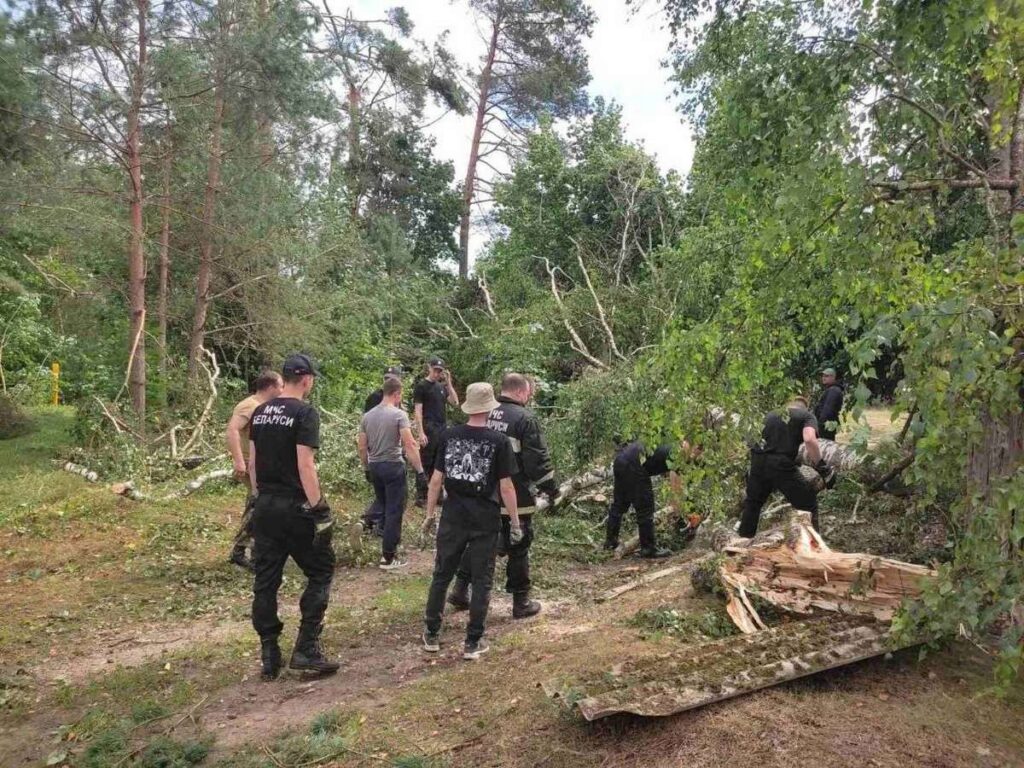 В Вилейском районе продолжают устранять последствия непогоды
