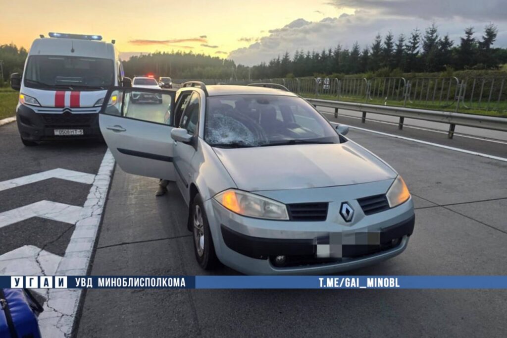 Женщина внезапно выбежала на МКАД-2 и попала под автомобиль