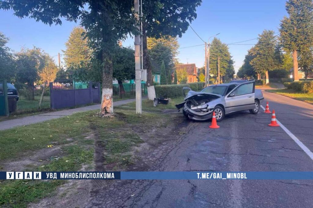 В Вилейке пассажирка повернула руль во время движения – автомобиль врезался в дерево