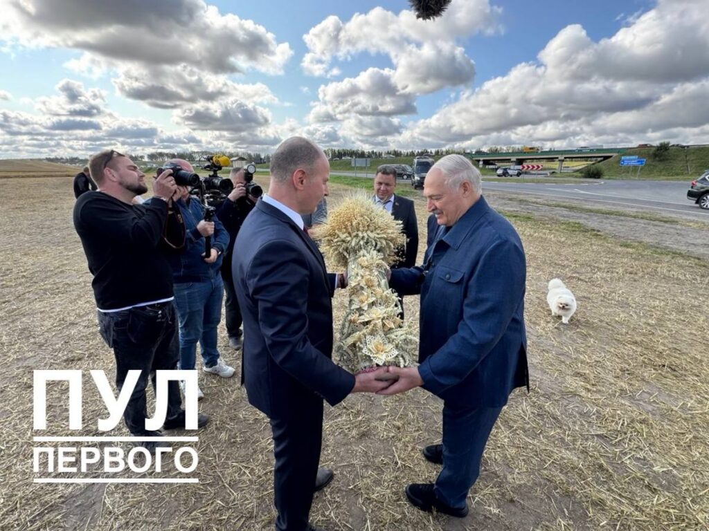 Минщина снова первая – Кушнаренко вручил 2-миллионный сноп Александру Лукашенко
