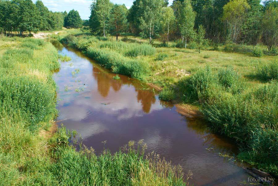 Пошел купаться с матерью и внезапно исчез под водой – мужчина погиб в реке Бобрик