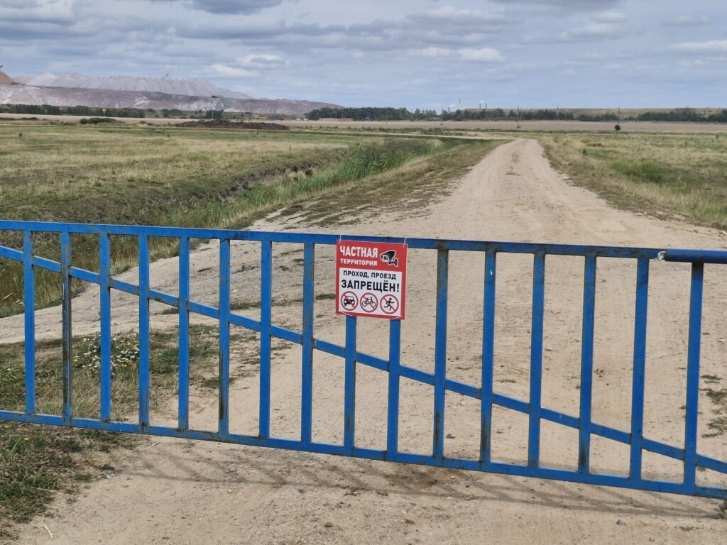 Знаменитых солигорских овечек оградили от нахлынувшей медийной славы