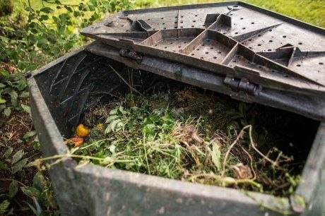 Не спешите жечь. Как безопасно утилизировать томатную ботву