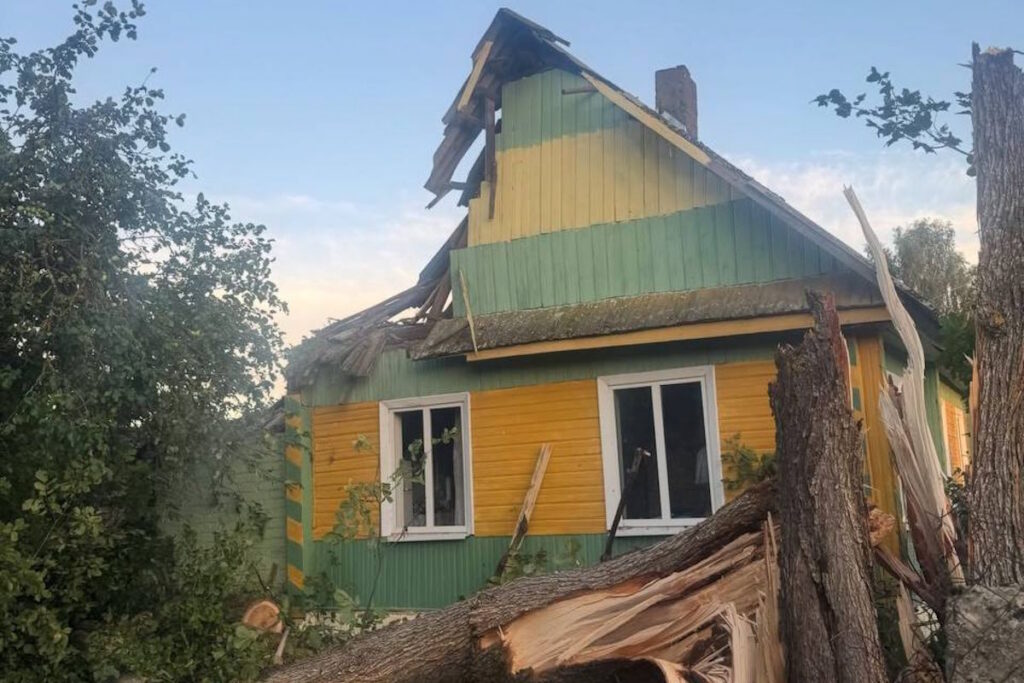 Одна история ущерба дачницы Вилейского района
