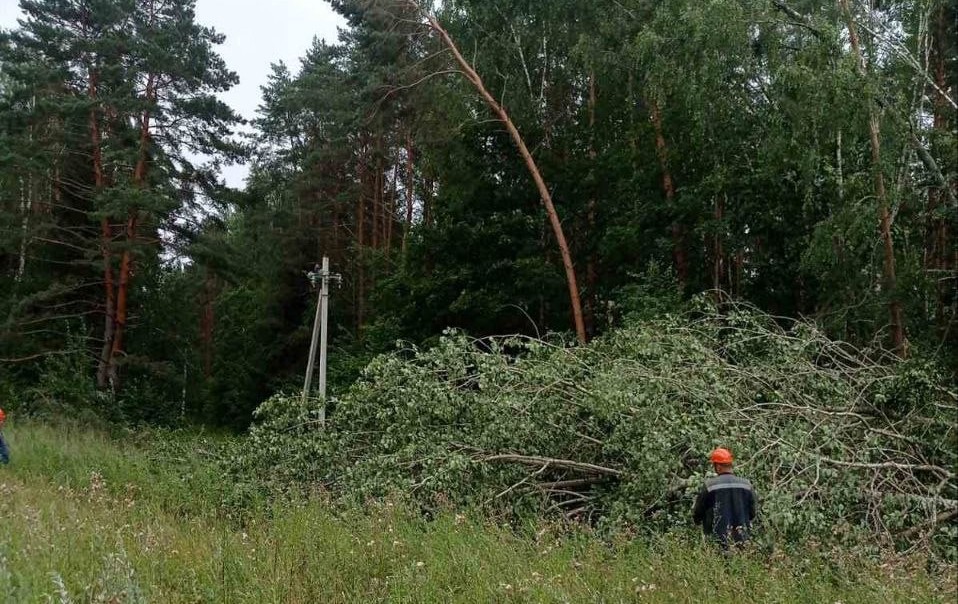 127 населенных пунктов на Минщине еще остаются без электричества