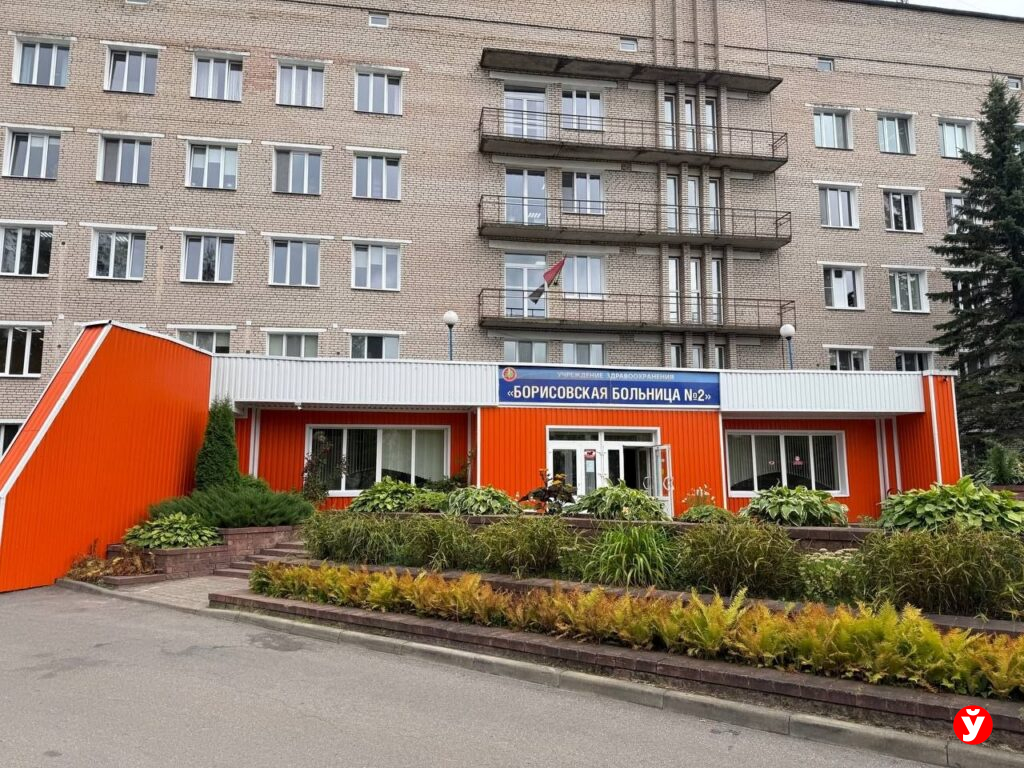 Ситуация в приемном отделении Борисовской ЦРБ – назначена служебная проверка