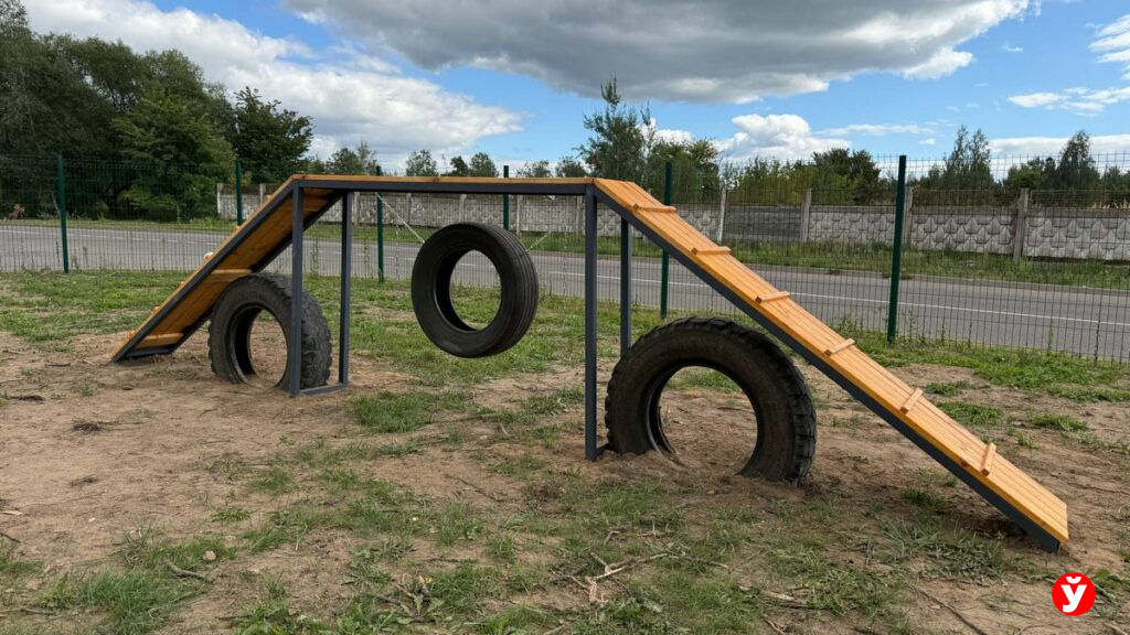 Площадка для собак в Жодино