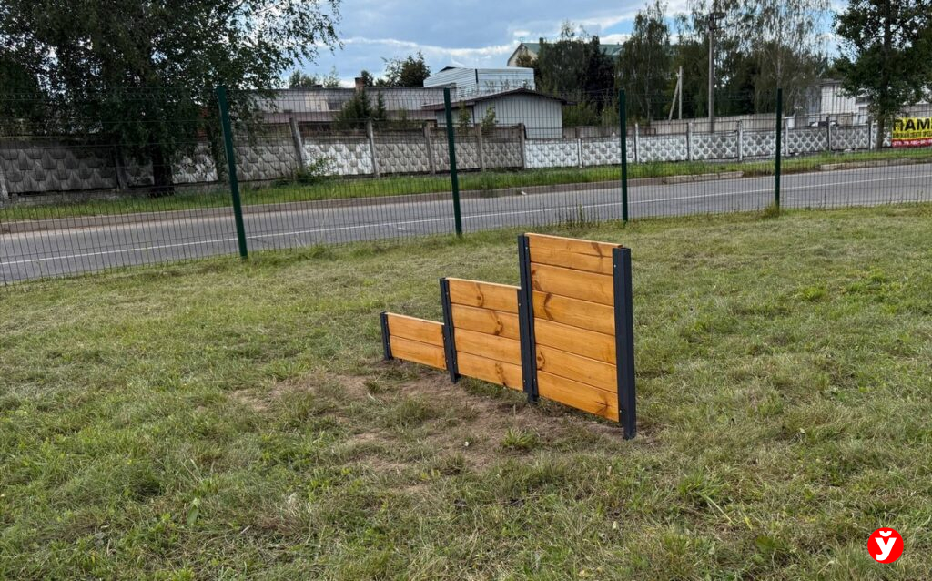 Площадка для собак в Жодино