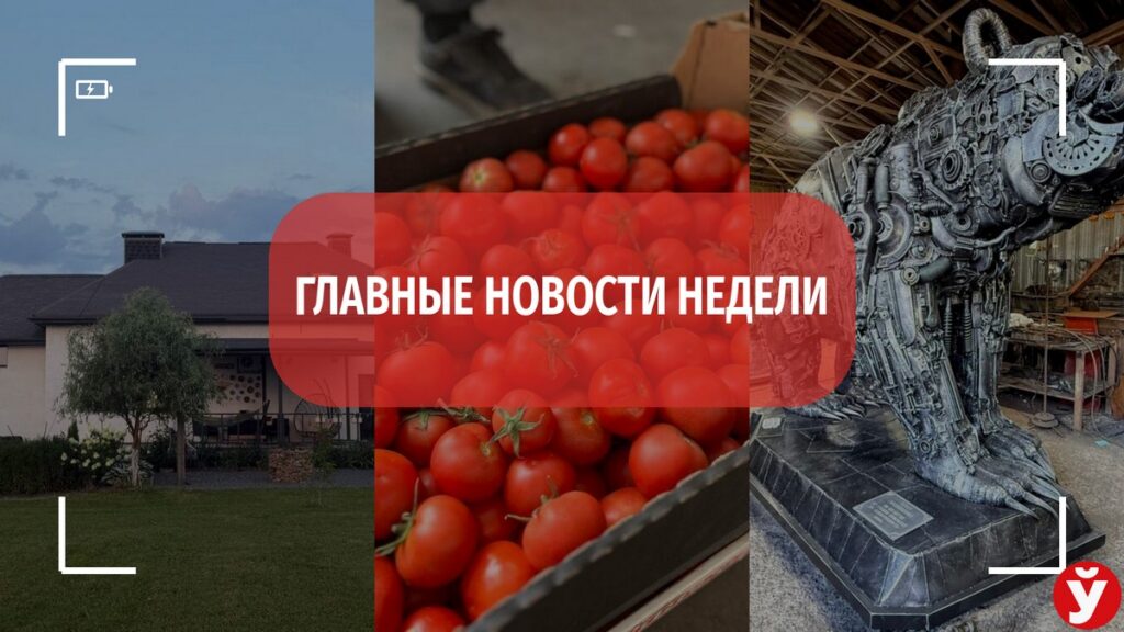 От дома без кредитов до медведя из автозапчастей – топ-5 новостей Минщины за неделю