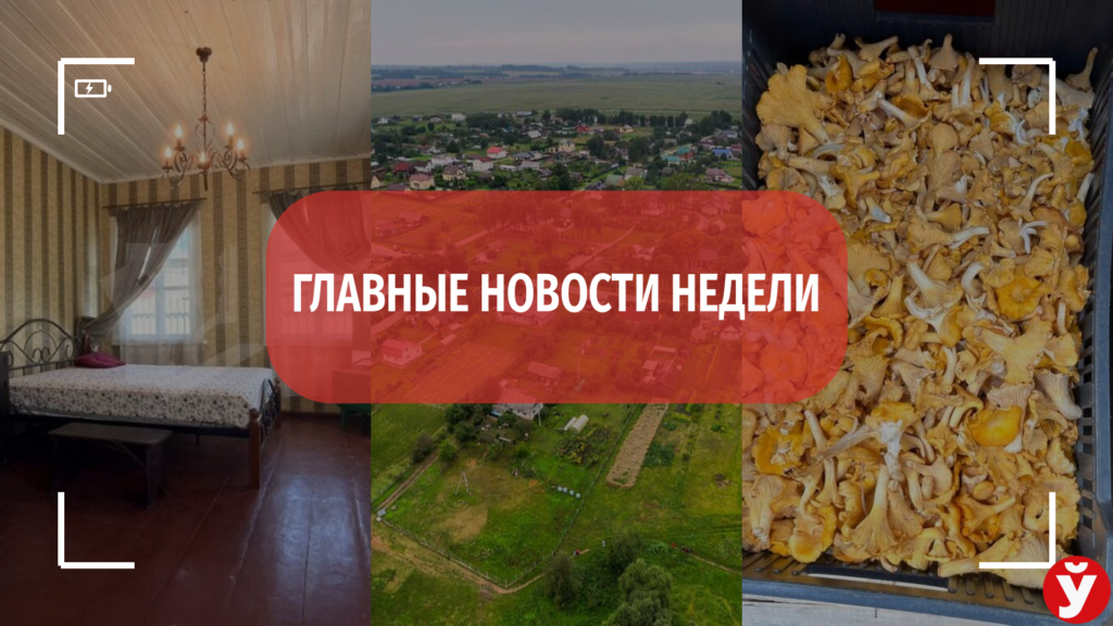 Скандал со служебным жильем и подешевевшие лисички – самые обсуждаемые темы недели на Минщине