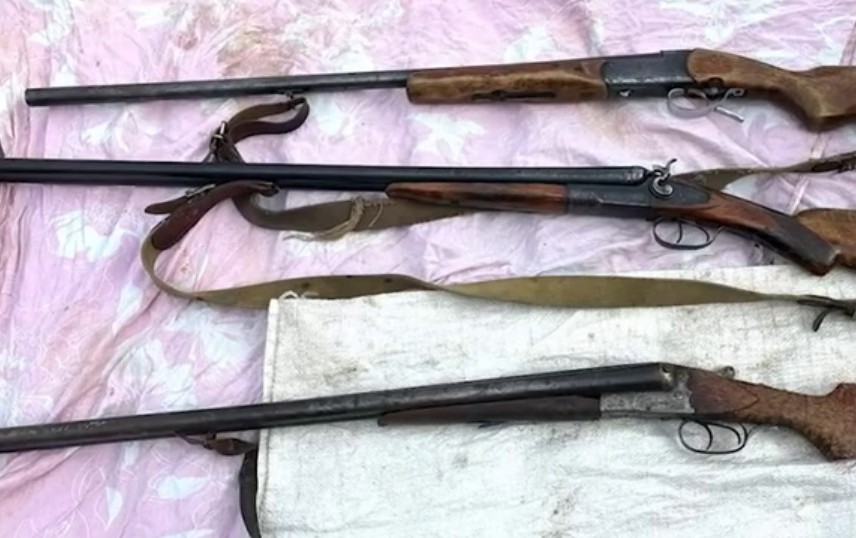 В Молодечненском районе у пенсионера нашли арсенал оружия и запрещенные рыболовные снасти