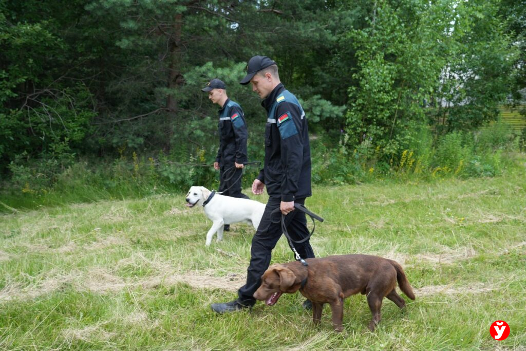 В Борисовском районе спасли двух пенсионеров, потерявшихся в лесном массиве