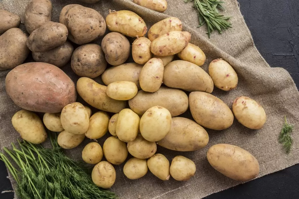 Сколько картофеля купить на зиму и какой сорт лучше хранится