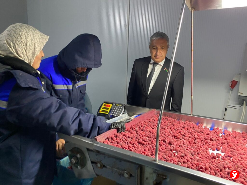 Белорус из Марьиной Горки построил в Узбекистане предприятие по заморозке ягод и овощей