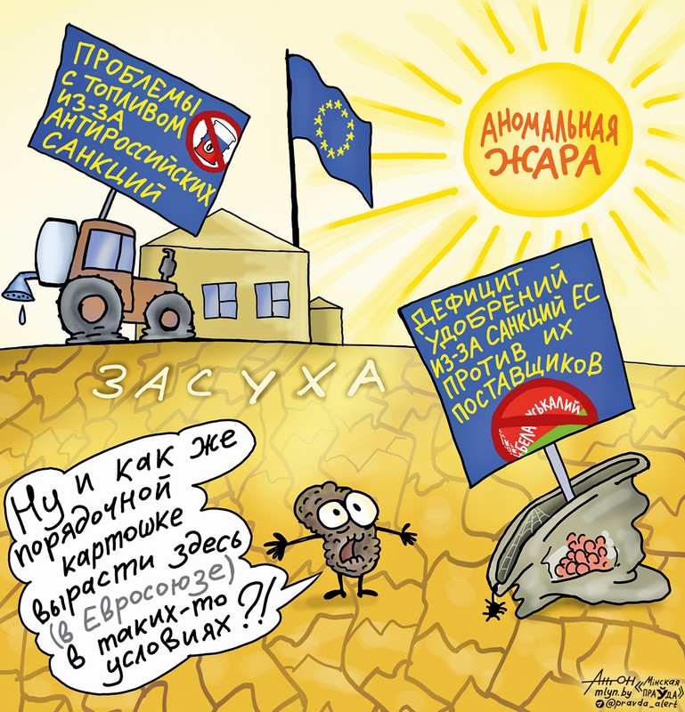 Картошка в условиях ЕС