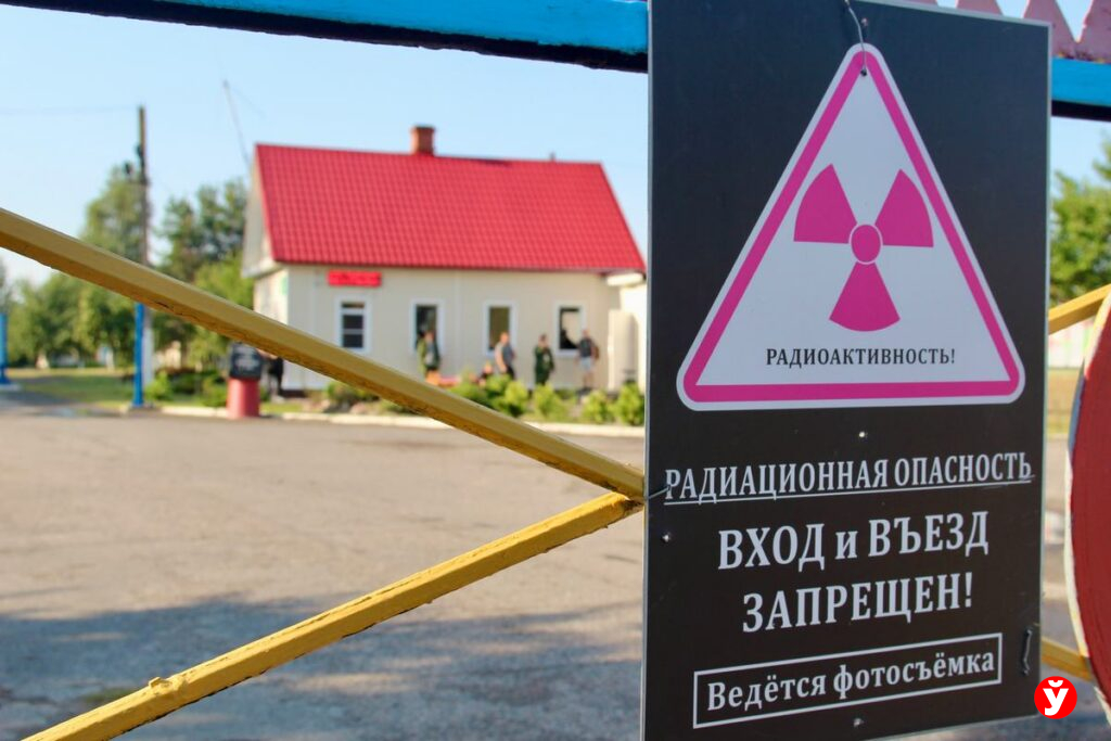 Как пчёлы помогают учёным мониторить зону отчуждения