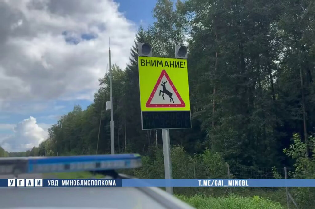 На трассе М6 в Воложинском районе водителей будут предупреждать о диких животных с помощью ИИ