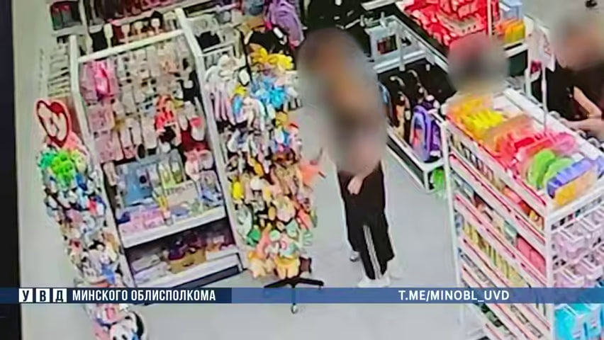 Девочки украли игрушки и сладости в магазине Солигорска, ущерб – более тысячи рублей