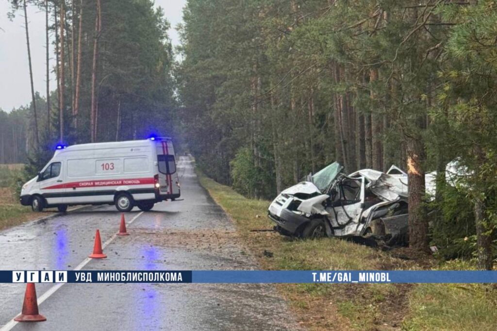 В Смолевичском районе водитель Ford врезался в дерево и погиб