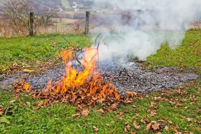 Осенние работы на участке — десять привычек, которые не приносят пользы