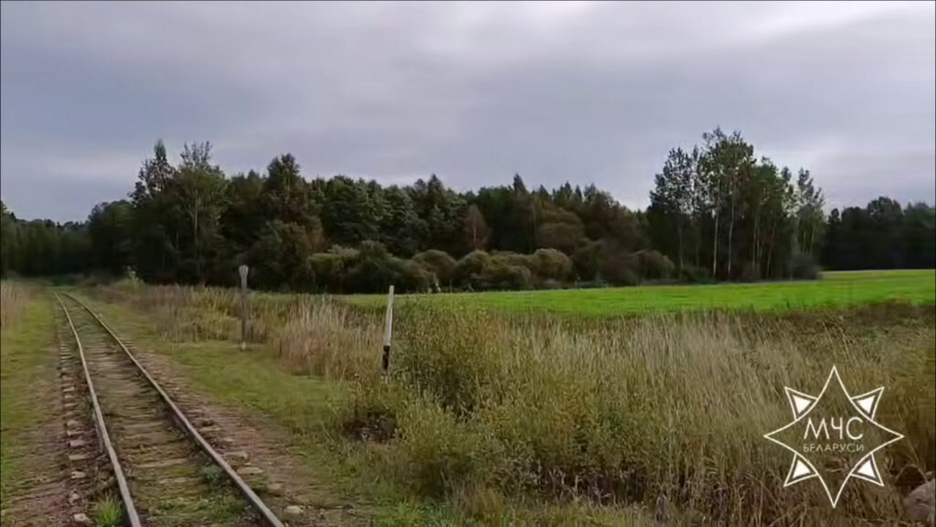 Двоих детей, пропавших под Браславами, нашли в лесу