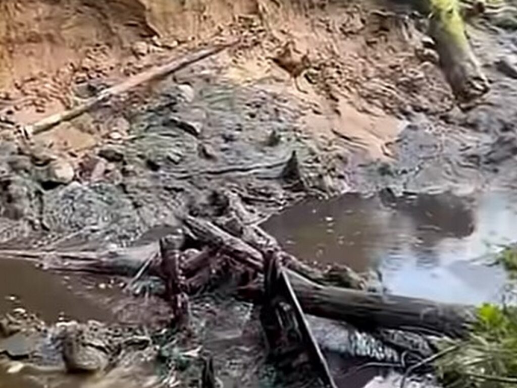 В Логойском районе исчезло озеро в лесу. В ситуации будет разбираться инспекция Минприроды