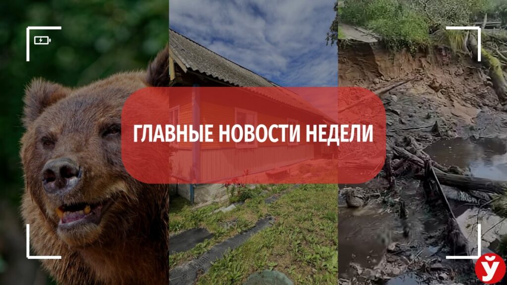 Дом за 43 тысячи, медведь в лесу и исчезнувшее озеро – топ-5 самых новостей Минщины за неделю