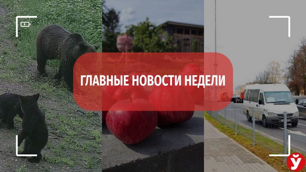 Топ-5 новостей Минщины за неделю – медведи, маршрутка и деревенская жизнь