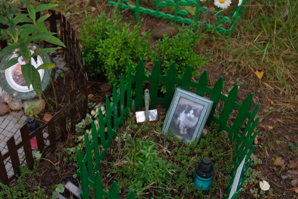 Сколько стоит кремация питомца в Беларуси и почему нельзя хоронить животных в лесу